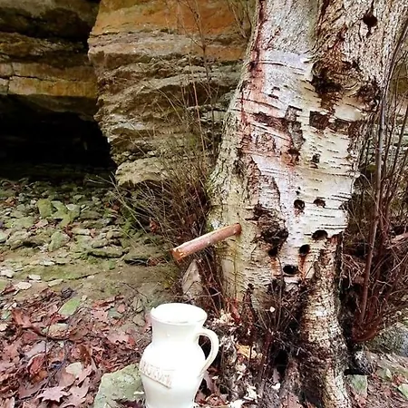 Hébergement de vacances Dream Corner Nordic