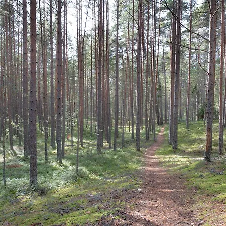 Vakantiehuis Dream Corner Nordic *