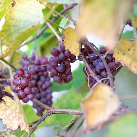 Dream Corner Nordic Hébergement de vacances