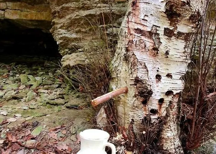 Ferienhaus Dream Corner Nordic