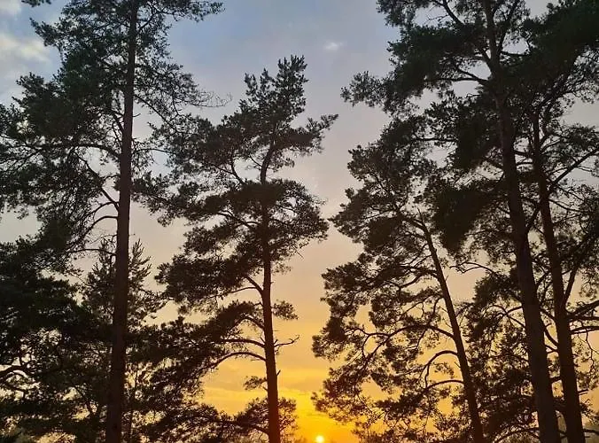 Ferienhaus Dream Corner Nordic Laulasmaa