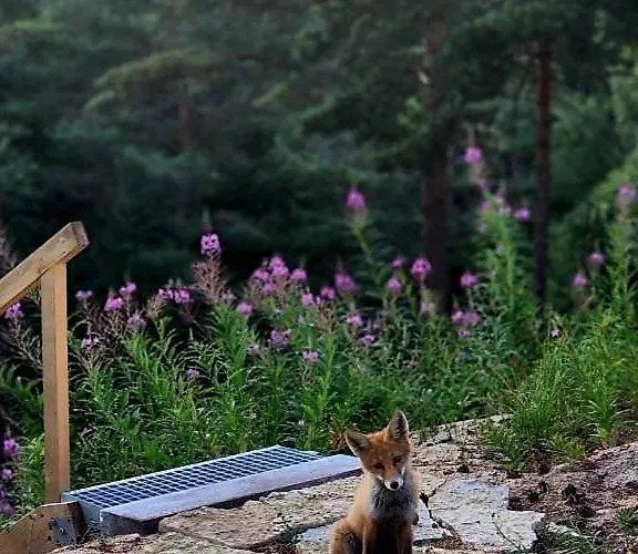 Dream Corner Nordic Nyaraló Laulasmaa