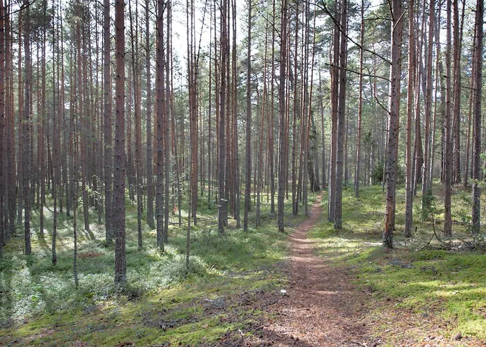 Ferienhaus Dream Corner Nordic *