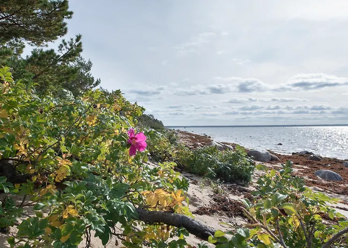 Dream Corner Nordic Nyaraló *